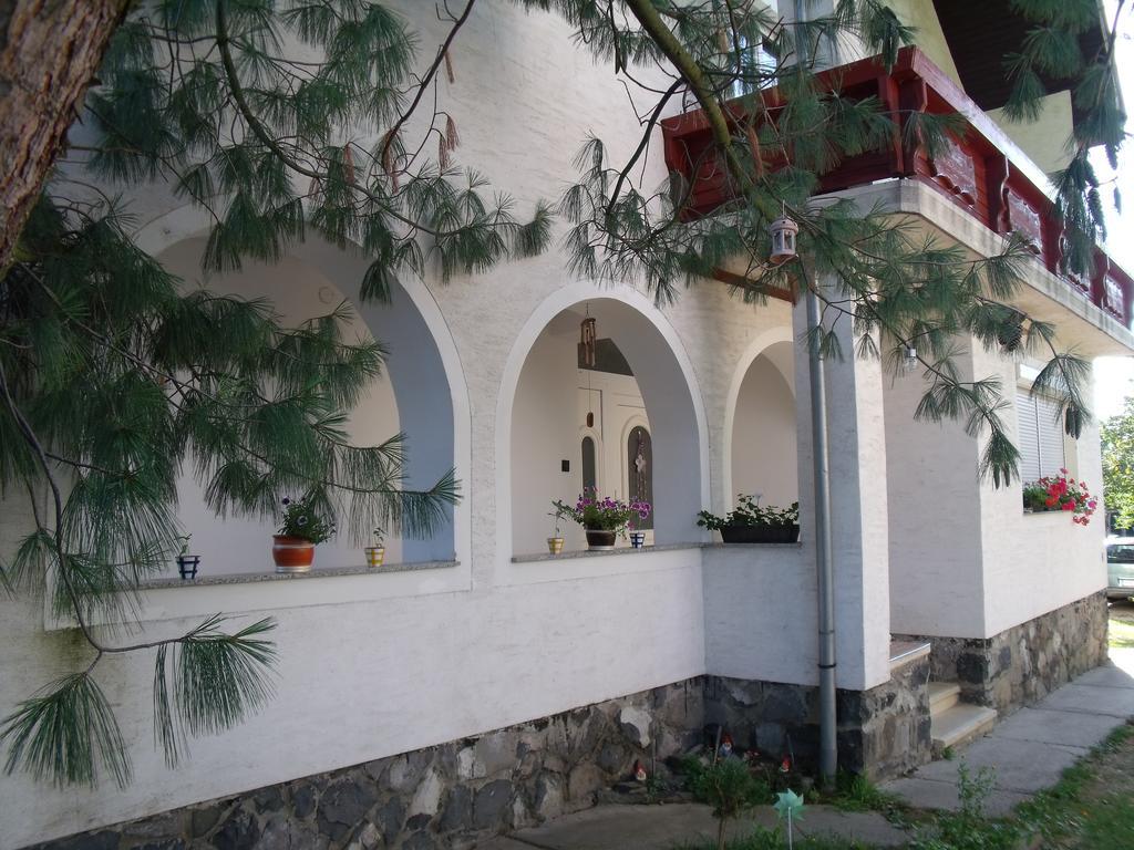 Viola Vendeghaz Daire Kehidakustány Dış mekan fotoğraf