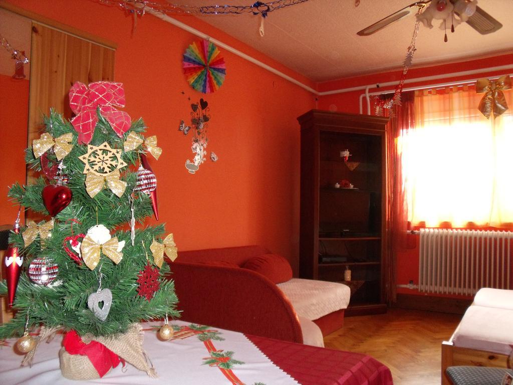 Viola Vendeghaz Daire Kehidakustány Dış mekan fotoğraf