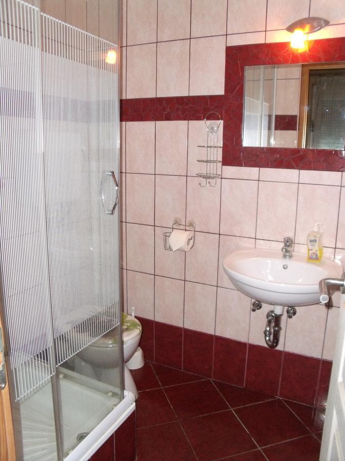 Viola Vendeghaz Daire Kehidakustány Dış mekan fotoğraf